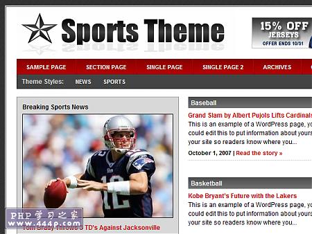 WP Premium Template: Revolution Sports